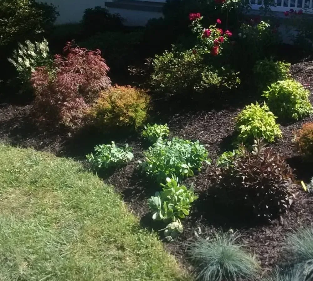 Top-rated yard cleanup service in Gettysburg, PA by Klondons Lawn Care