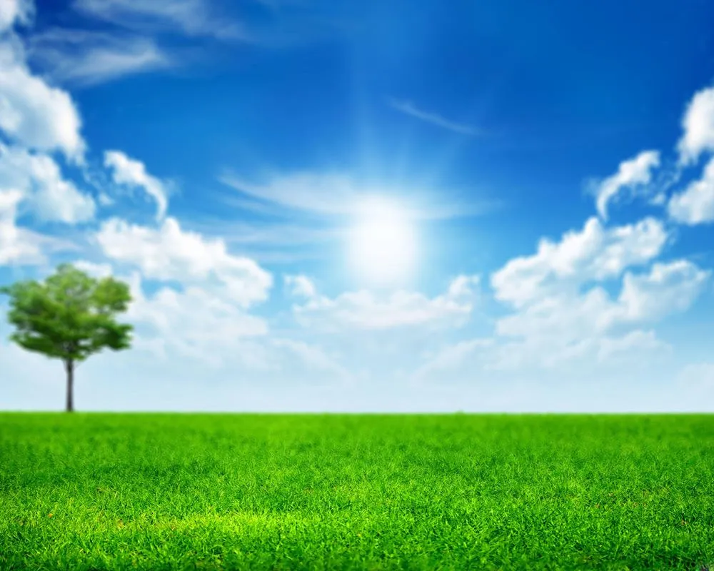 Trusted lawn care service in Caledonia, MI - Kloosterman Landscaping