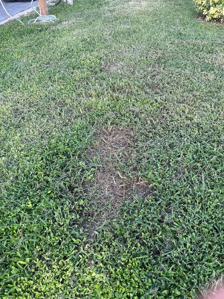 Affordable residential landscaping experts serving Bonita Springs, FL - Klopack Landscapes