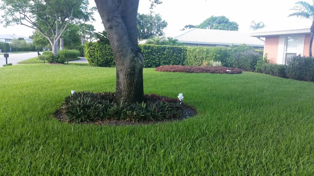 Affordable residential landscaping in Bonita Springs, FL - Klopack Landscapes