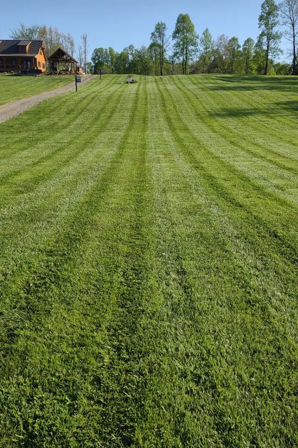 Reliable lawn care service in Epworth, IA - Klostermann Lawn Care