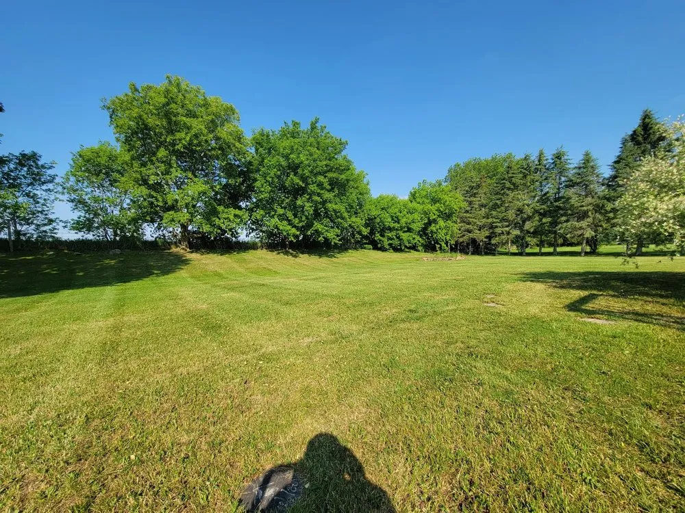 Expert landscaping services for outdoor upgrades across Fort Worth, TX - Klous Property Management