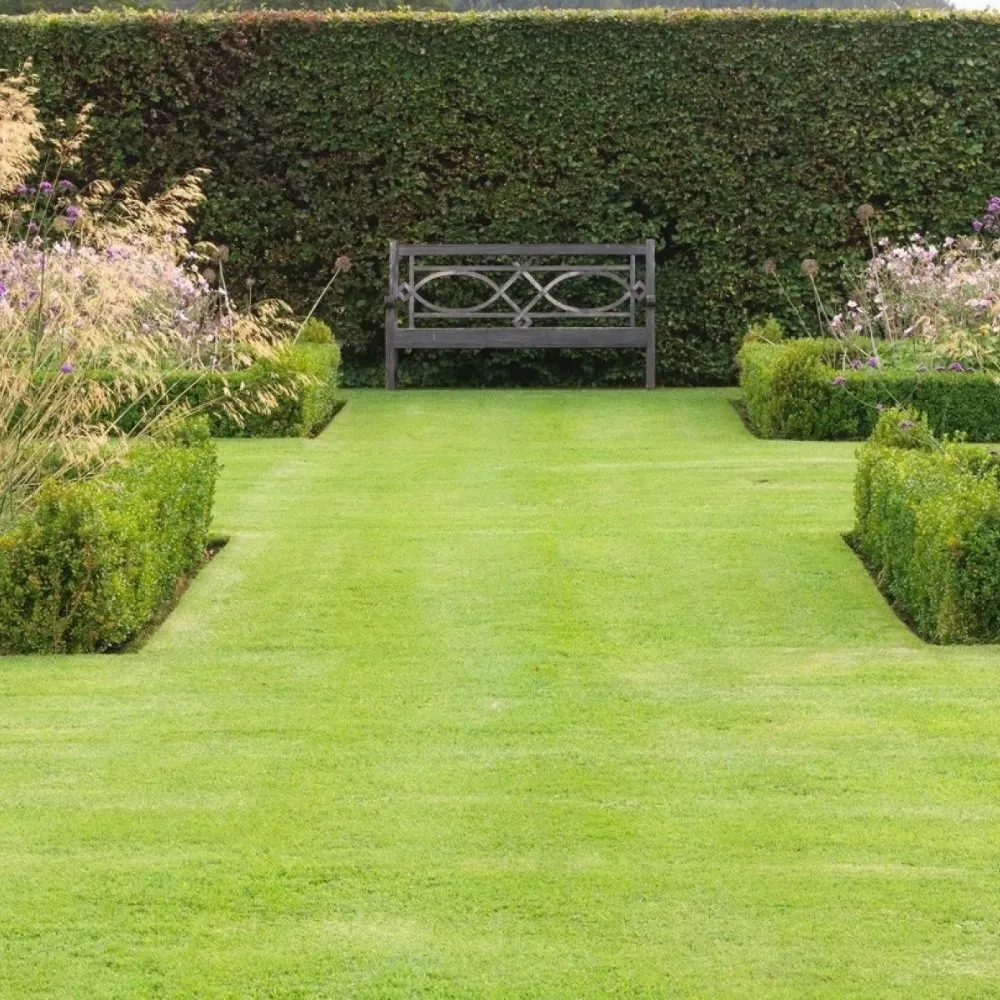 Custom yard cleanup service in Montello, WI by Klover Klippers