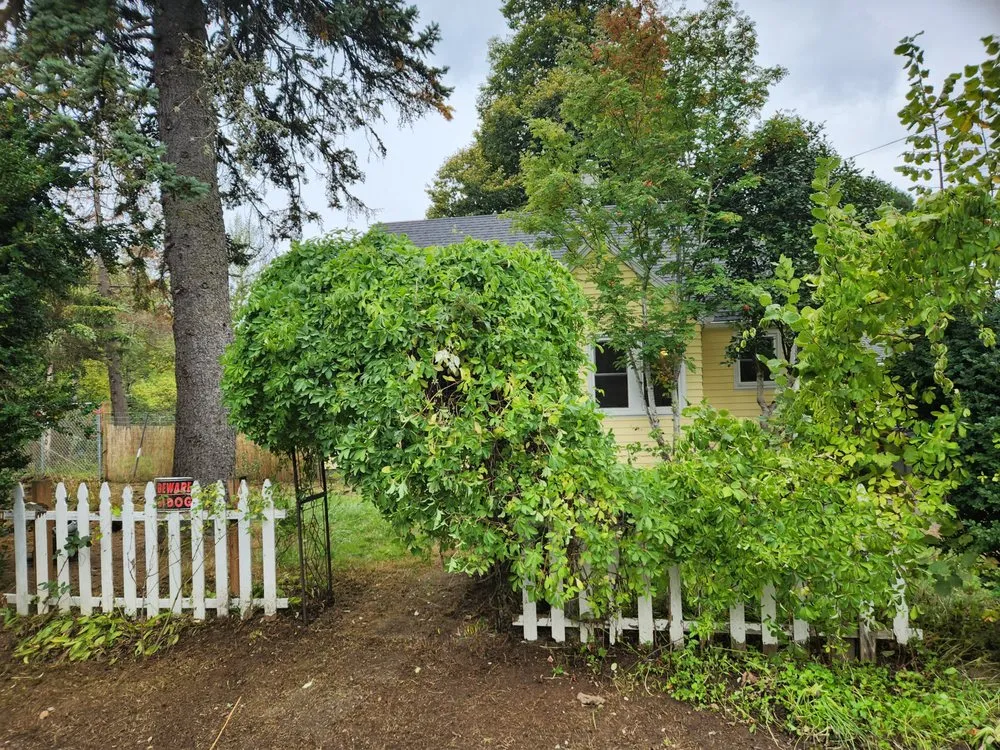 Professional lawn care service for beautiful yards across Sandy, OR - KLoves home services