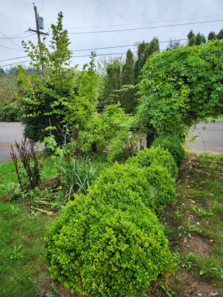 Reliable landscaping services for residential properties in Sandy, OR by KLoves home services