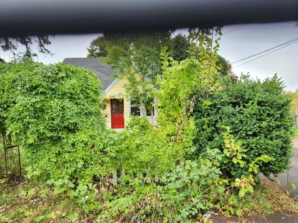 Top-rated landscape installation in Sandy, OR - KLoves home services