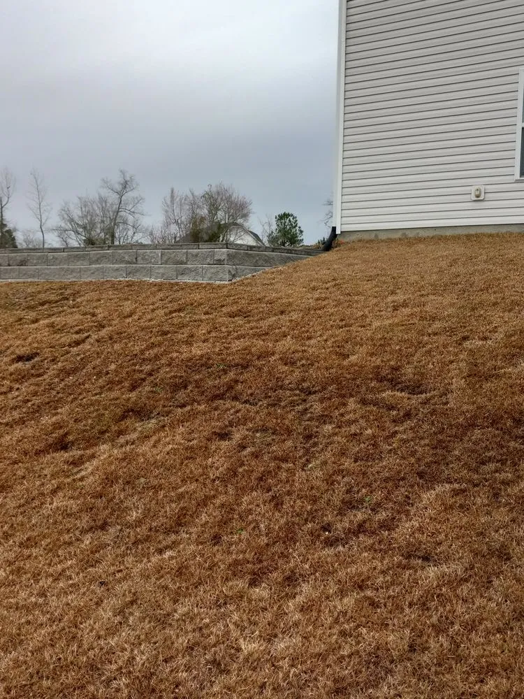 Top-rated yard cleanup service for year-round maintenance across Fayetteville, NC - KLS Custom Landscaping and Hardscape