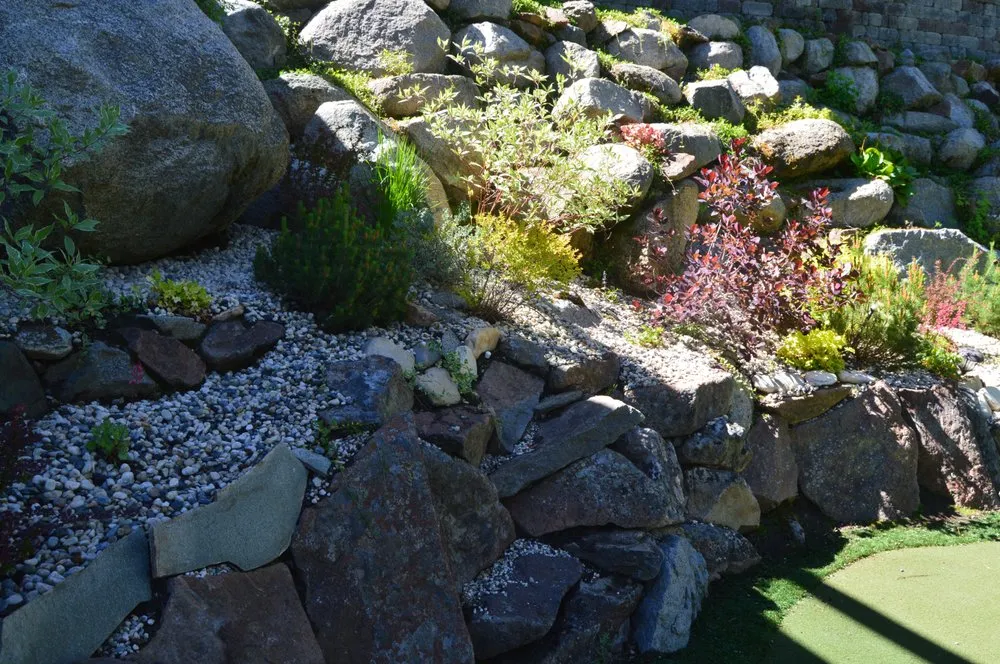 Professional yard cleanup service experts serving Stateline, NV - Kls Landscape