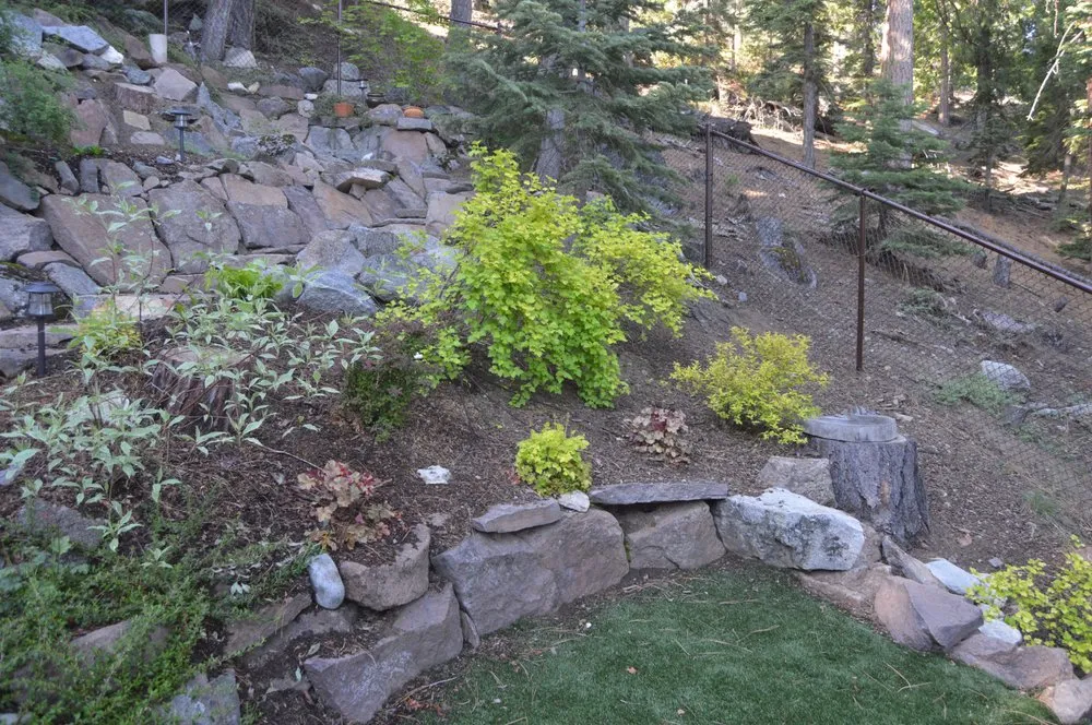Trusted yard maintenance in Stateline, NV - Kls Landscape