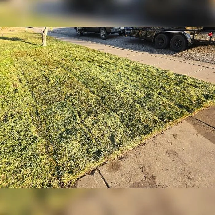 Local yard cleanup service experts serving Amarillo, TX - K&M Dynamics