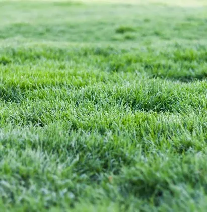 Custom landscape installation for residential properties in Amarillo, TX by K&M Dynamics