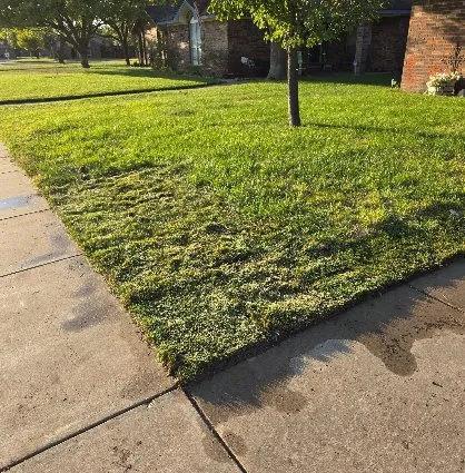 Reliable landscaping services experts serving Amarillo, TX - K&M Dynamics