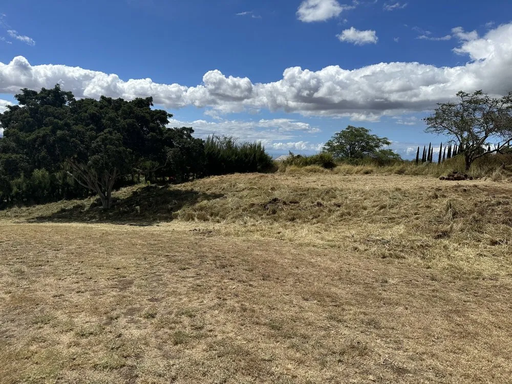 Professional yard maintenance near you in Kula, HI by K&M Home Services