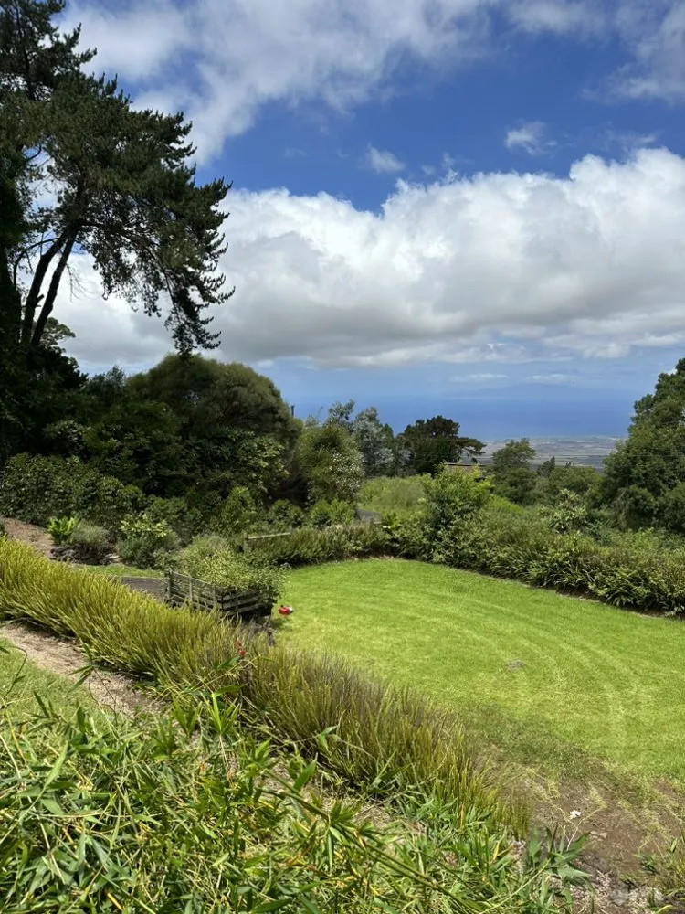 Professional lawn mowing service experts serving Kula, HI - K&M Home Services