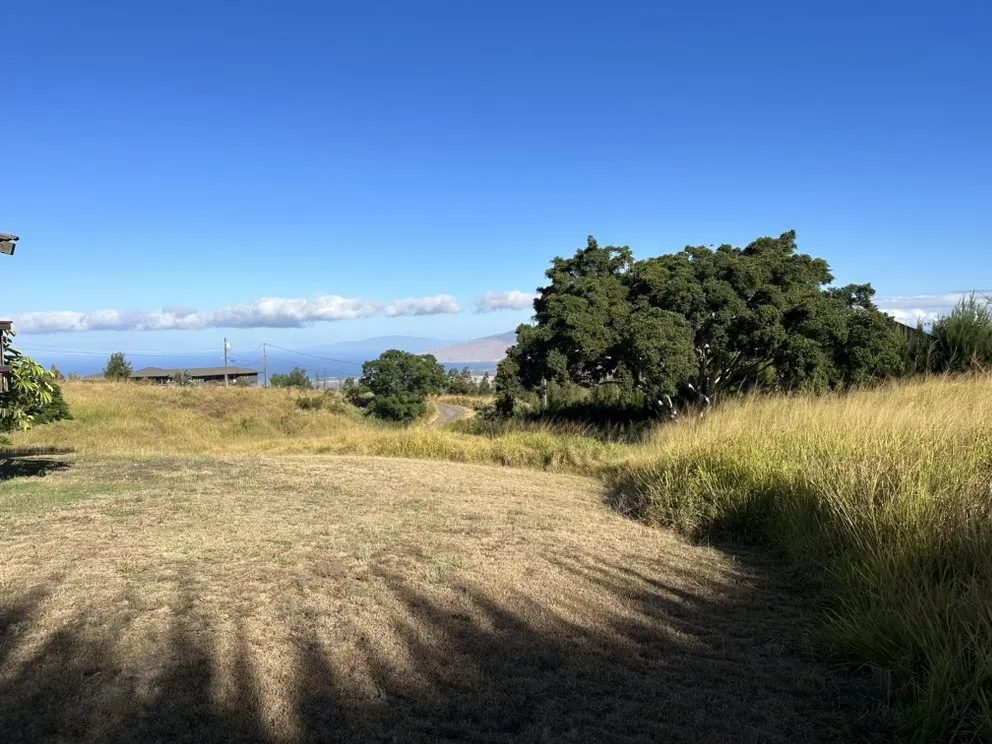 Expert lawn mowing service experts serving Kula, HI - K&M Home Services