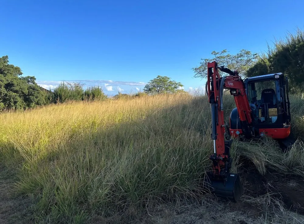 Affordable yard cleanup service in Kula, HI by K&M Home Services