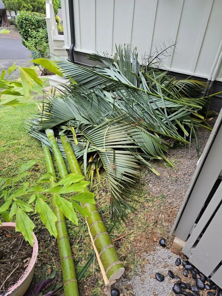 Custom landscape installation in Wahiawa, HI by KM Landscape & Labor