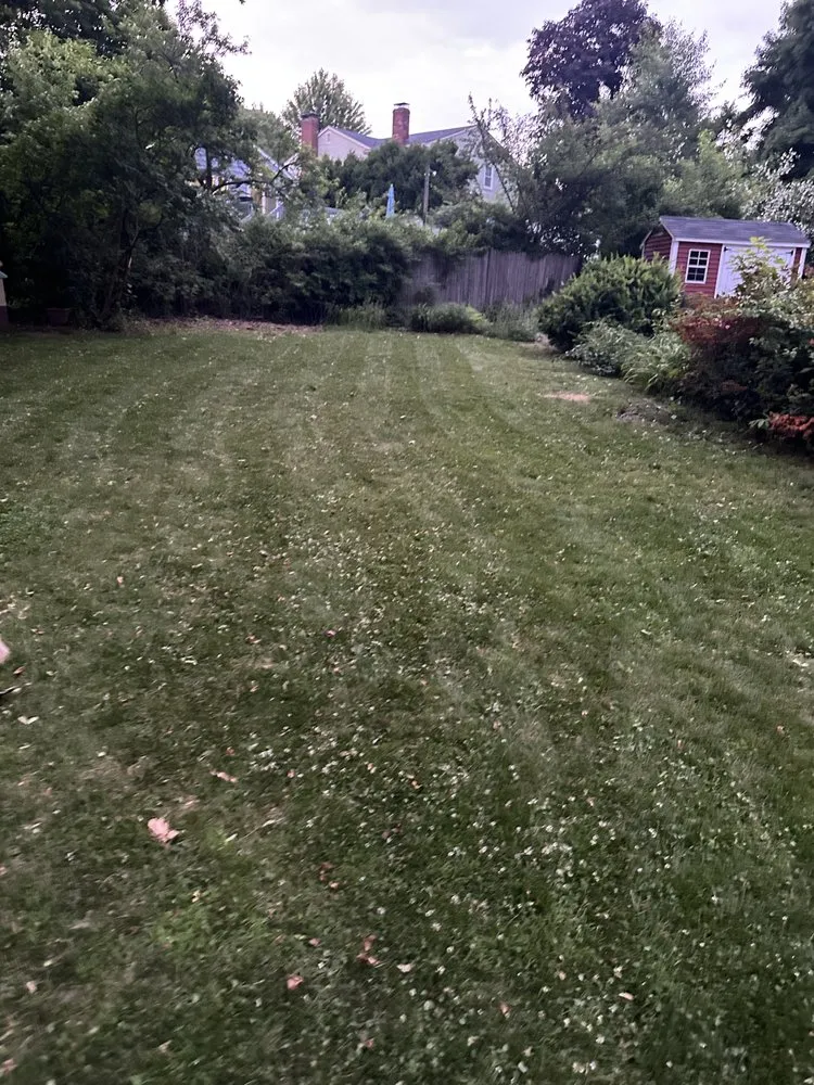 Reliable yard maintenance for homes across Arlington, MA - K&M Landscaping