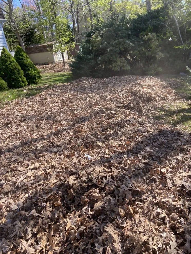 Affordable landscape installation for year-round maintenance across Bay Shore, NY - K&M Landscaping