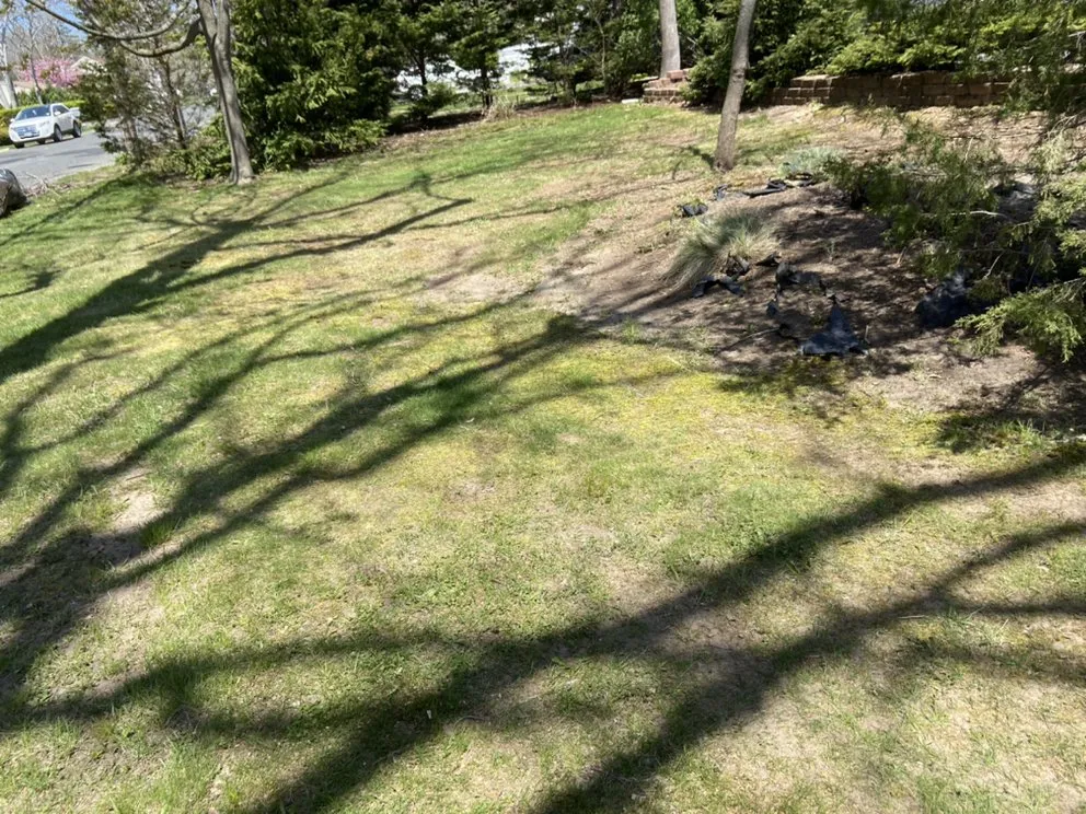 Reliable yard maintenance in Bay Shore, NY by K&M Landscaping