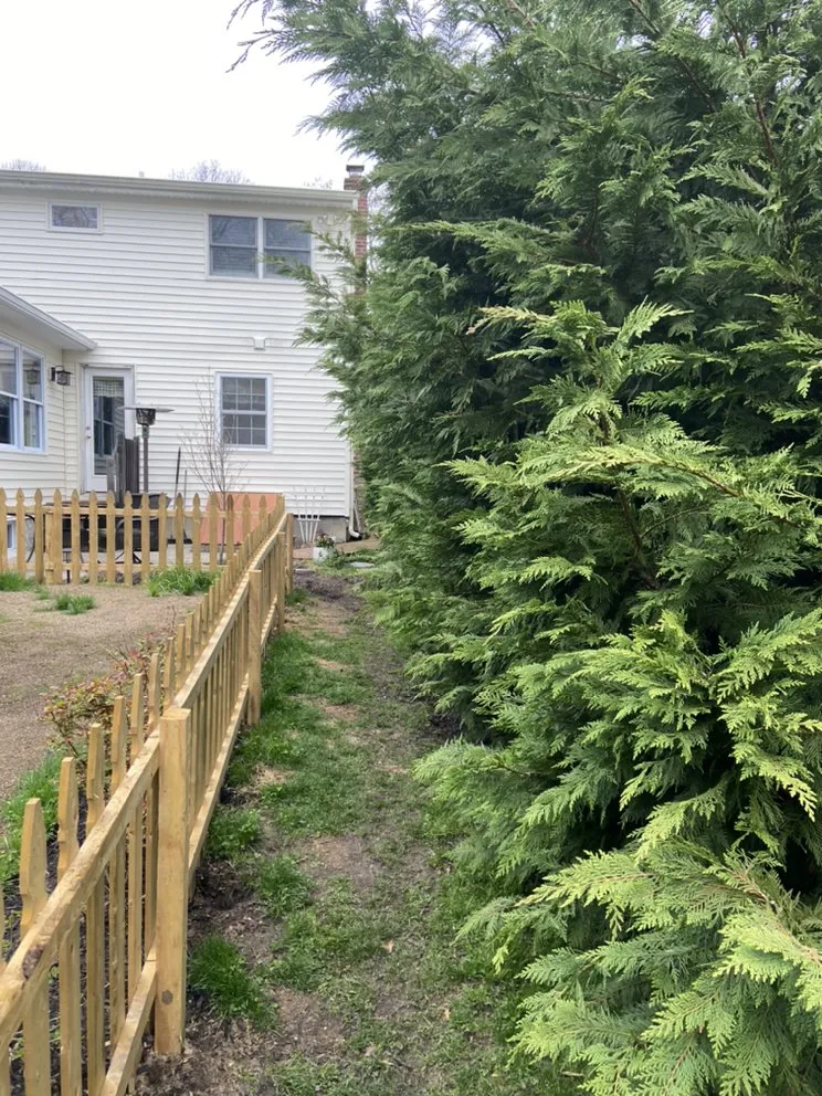 Expert yard maintenance experts serving Bay Shore, NY - K&M Landscaping