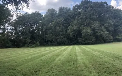 Professional landscape installation in Bay Shore, NY by K&M Landscaping