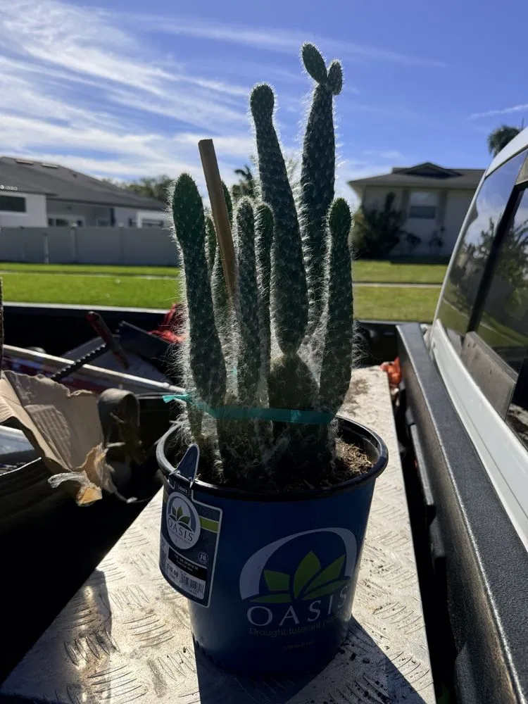 Top-rated lawn care service in Deltona, FL by Km Landscaping