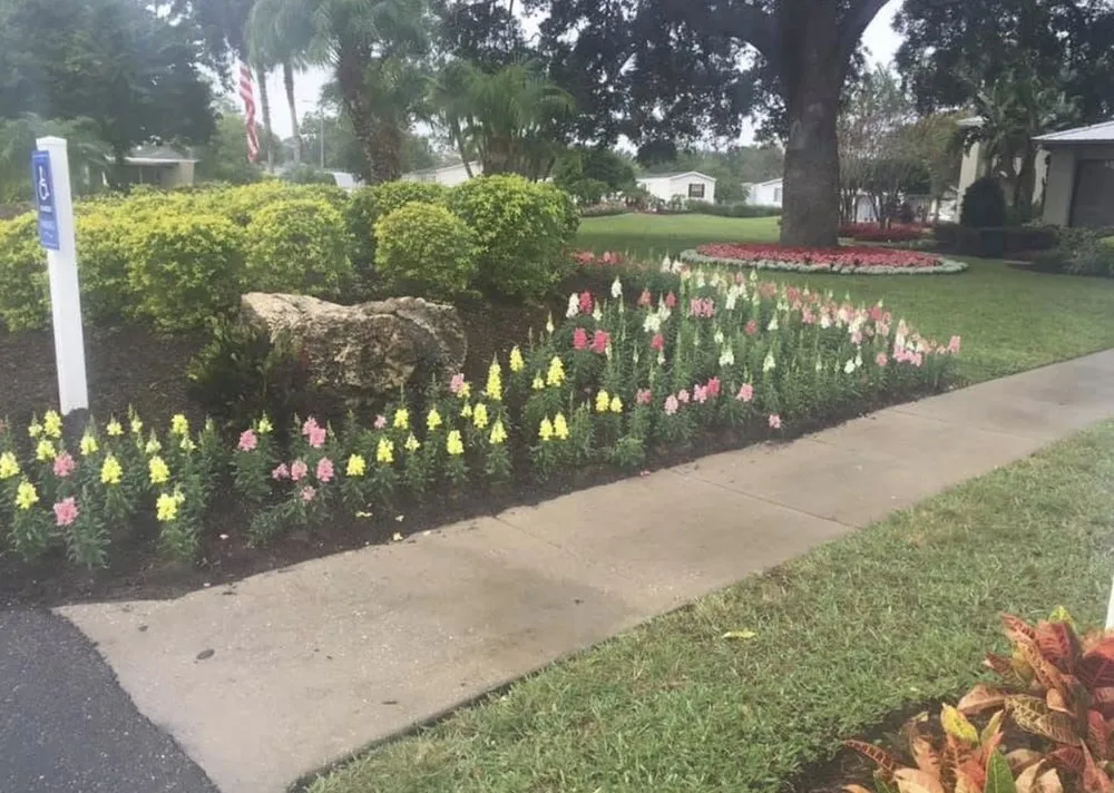 Professional landscaping services for year-round maintenance across Deltona, FL - Km Landscaping
