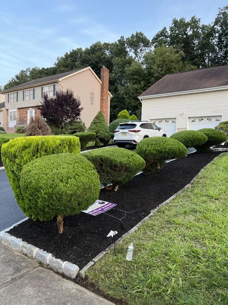 Top-rated yard maintenance in Freehold, NJ - K&M Landscaping