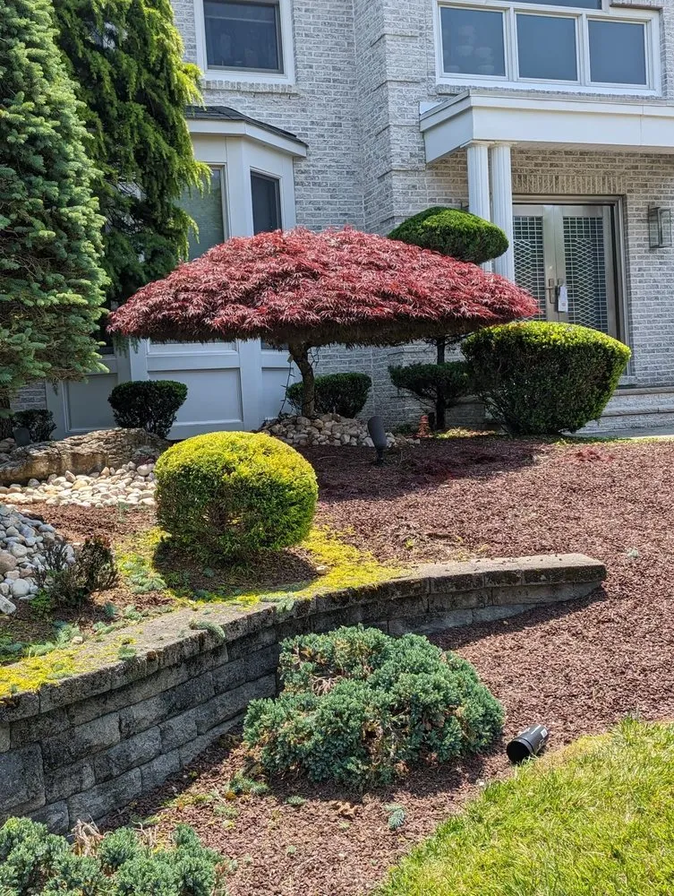 Affordable yard maintenance experts serving Freehold, NJ - K&M Landscaping