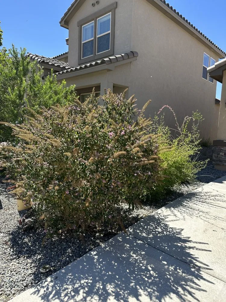 Expert landscape design in Albuquerque, NM by K&M Landscaping, LLC