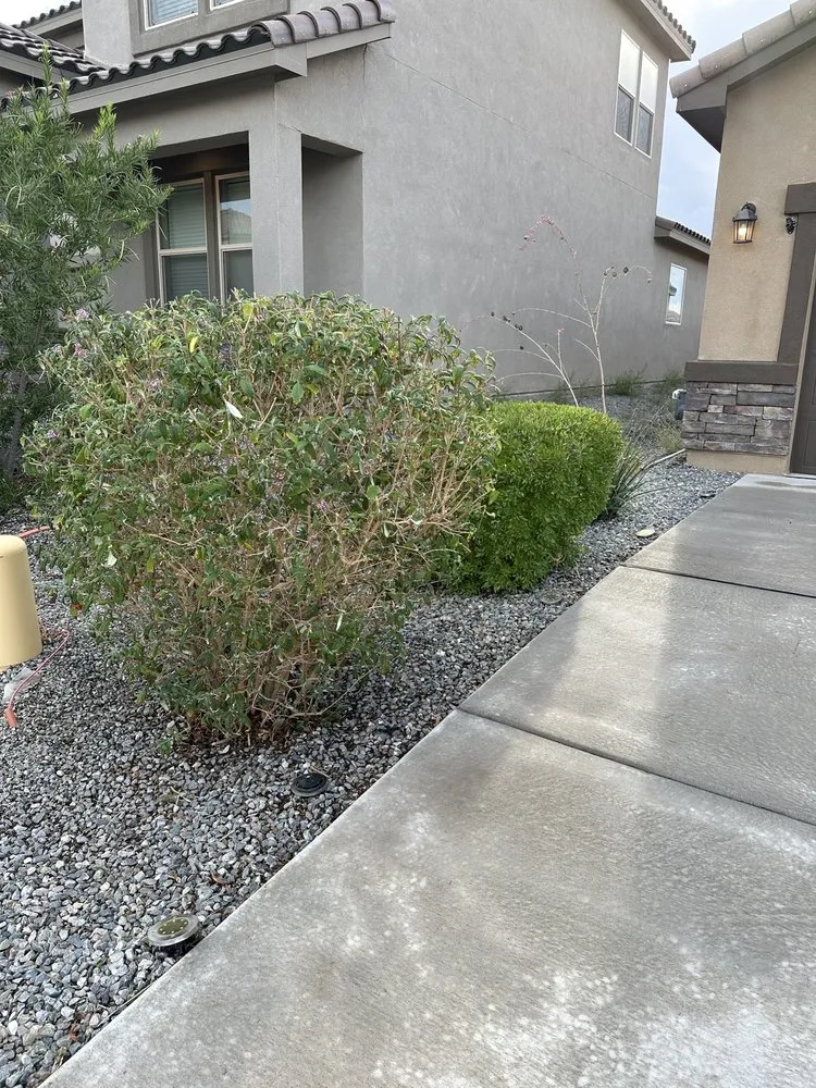 Professional landscape installation for beautiful yards in Albuquerque, NM by K&M Landscaping, LLC