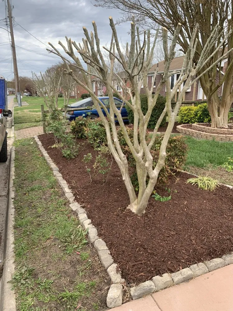 Reliable yard cleanup service experts serving Yorktown, VA - KM Lawn & Landscape