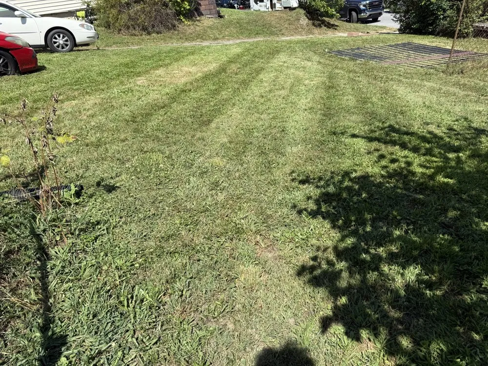 Custom landscaping services in West Decatur, PA by K&M Lawn Care