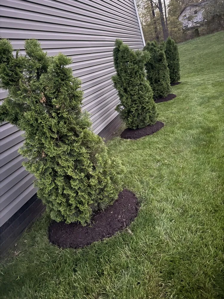 Professional lawn mowing service in West Decatur, PA - K&M Lawn Care