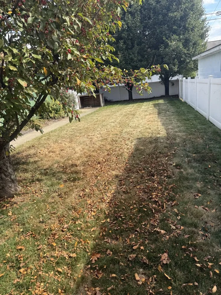 Top-rated landscape design experts serving West Decatur, PA - K&M Lawn Care