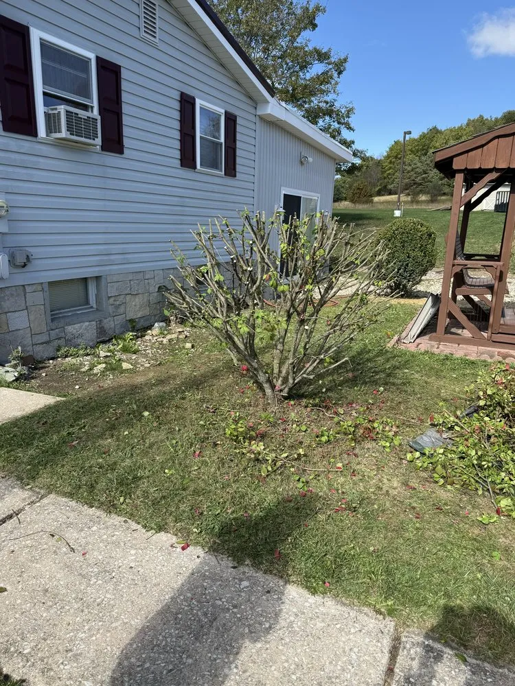 Top-rated yard cleanup service experts serving West Decatur, PA - K&M Lawn Care