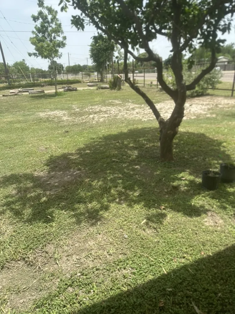 Custom yard cleanup service experts serving Mission, TX - K&M Lawn Services