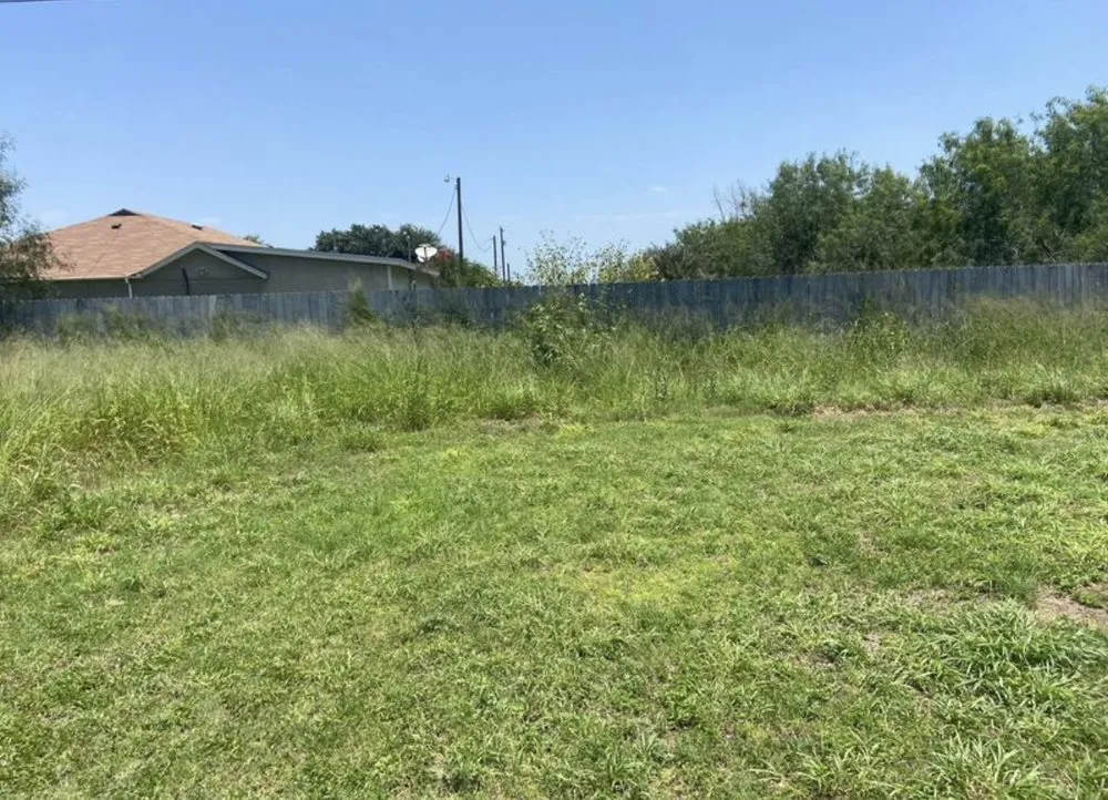 Top-rated yard cleanup service for year-round maintenance in Mission, TX by K&M Lawn Services