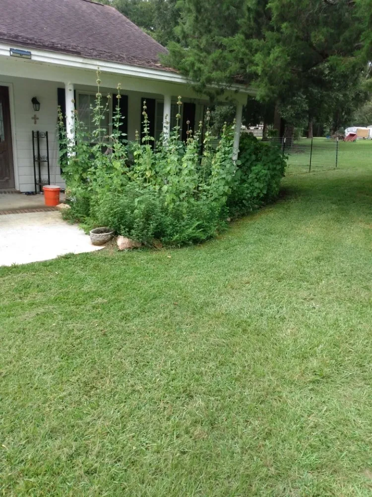 Local garden landscaping experts serving Coosada, AL - KM Lawncare