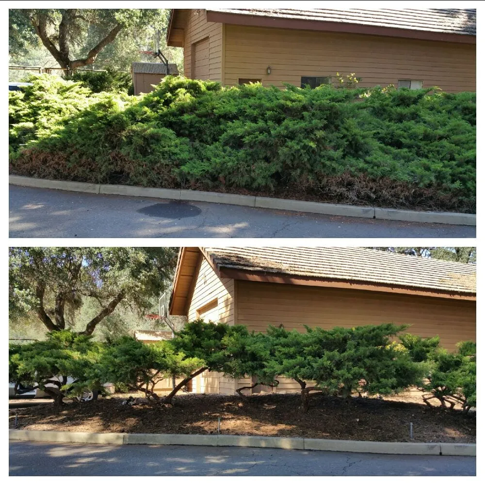 Professional lawn mowing service in Auburn, CA by KM Property Improvement