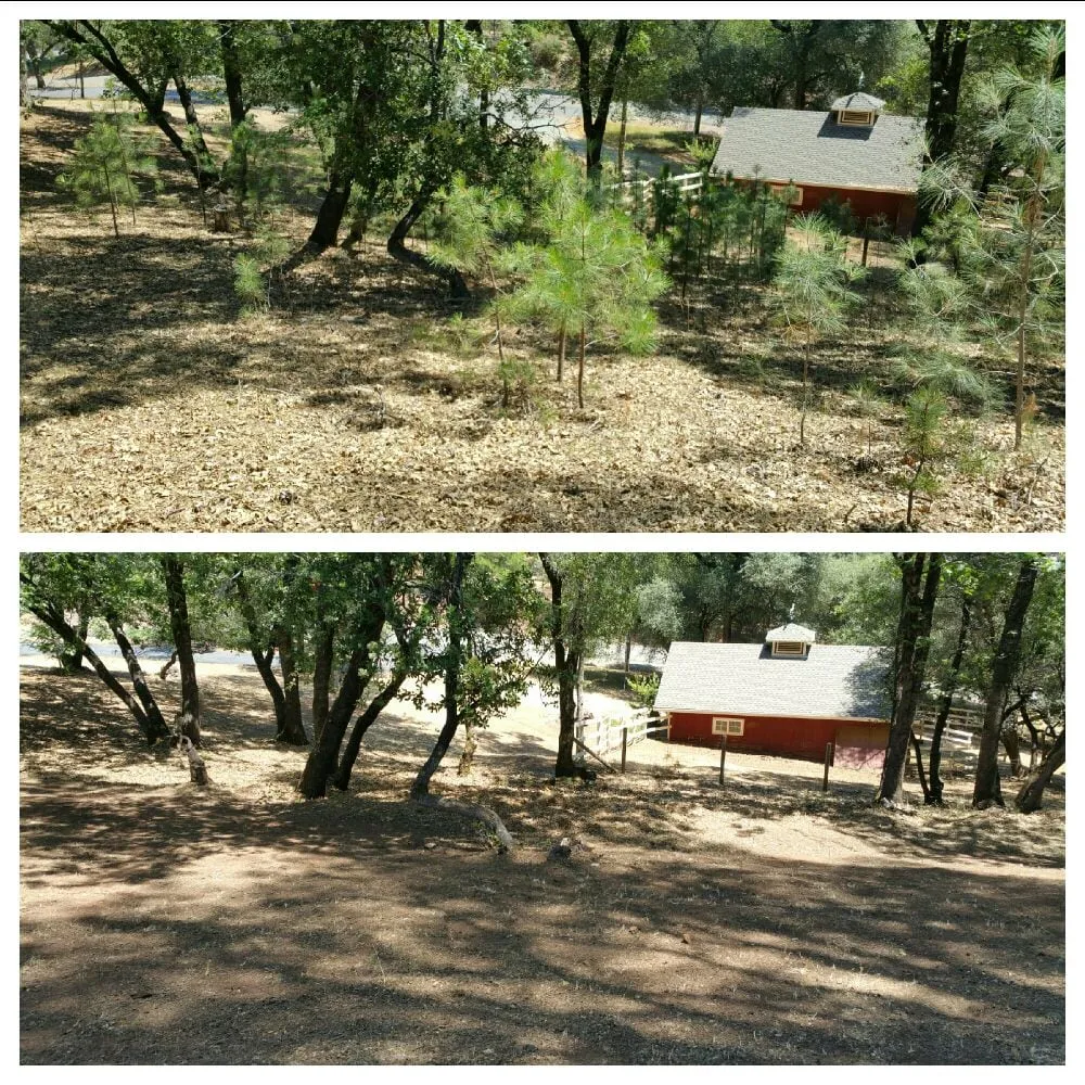 Custom landscape installation experts serving Auburn, CA - KM Property Improvement