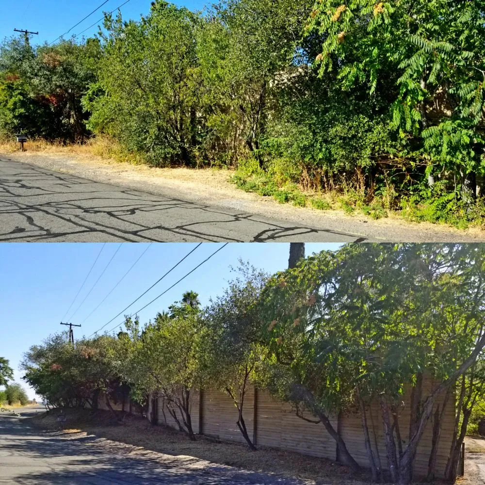 Local yard maintenance in Auburn, CA - KM Property Improvement