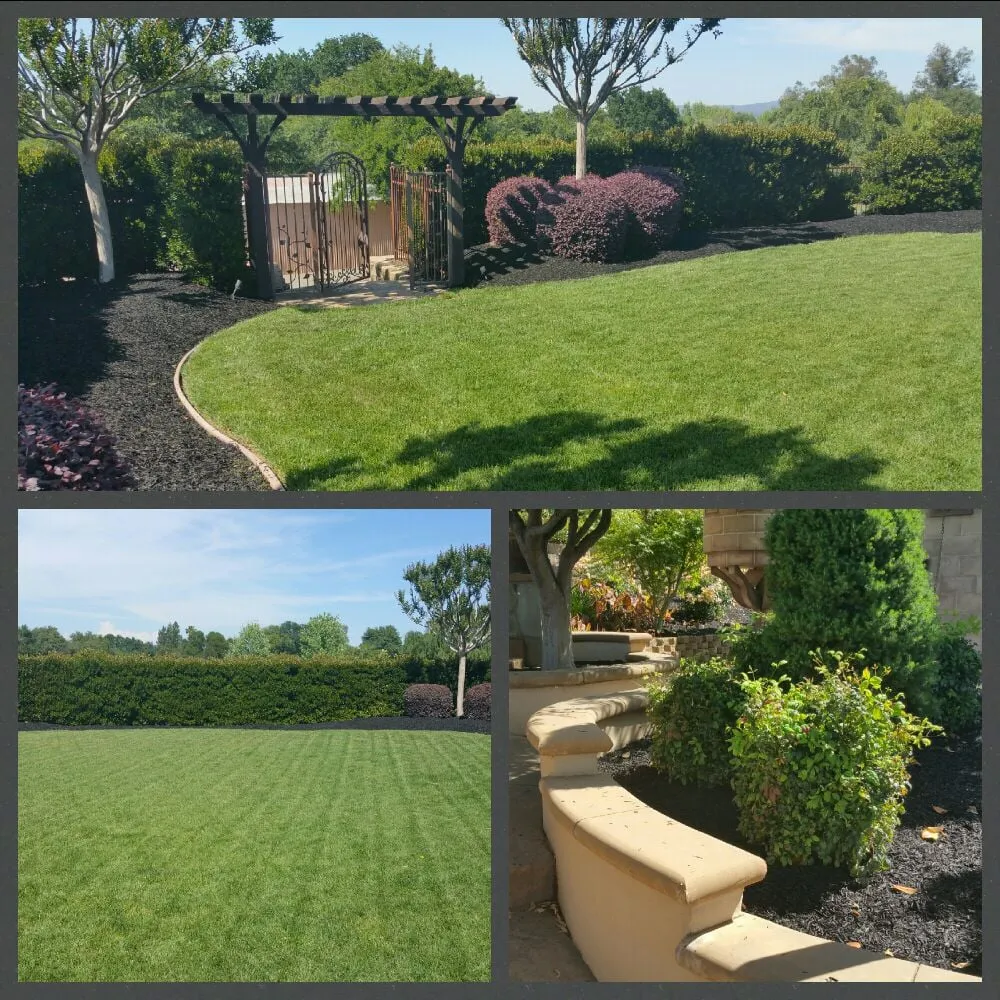 Local landscape installation in Auburn, CA - KM Property Improvement
