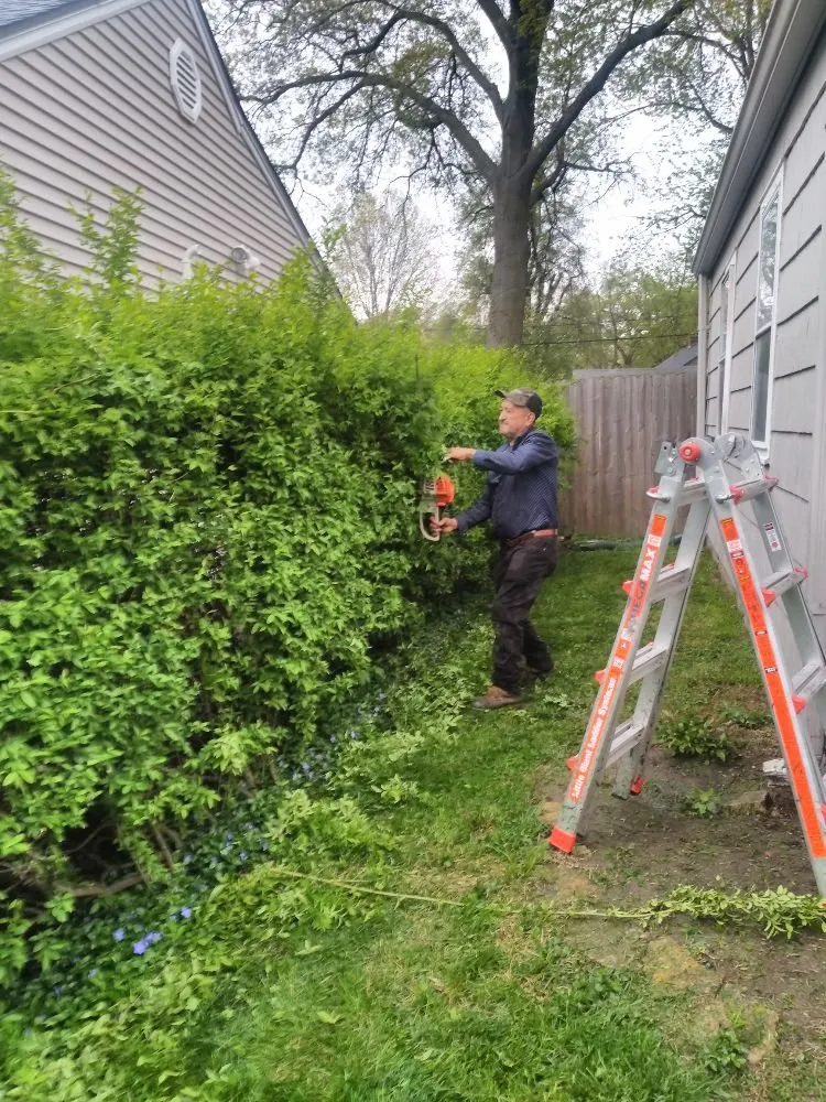 Local landscape design in Kansas City, KS - KM Turf Care