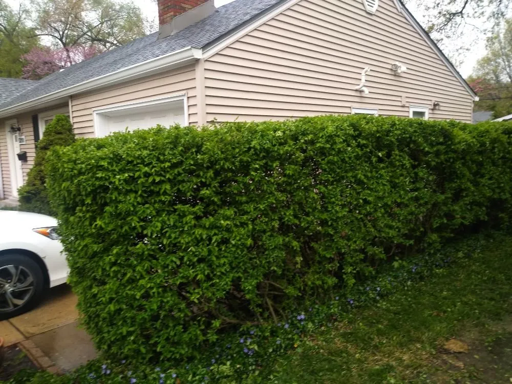 Custom lawn mowing service for homes in Kansas City, KS by KM Turf Care