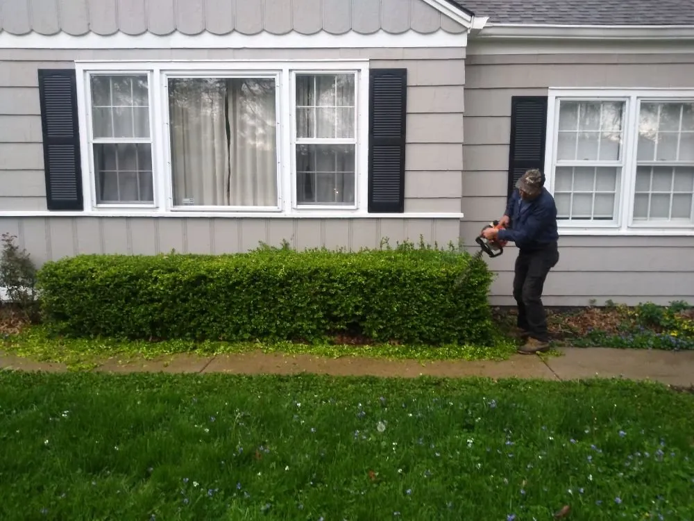 Trusted lawn care service in Kansas City, KS - KM Turf Care