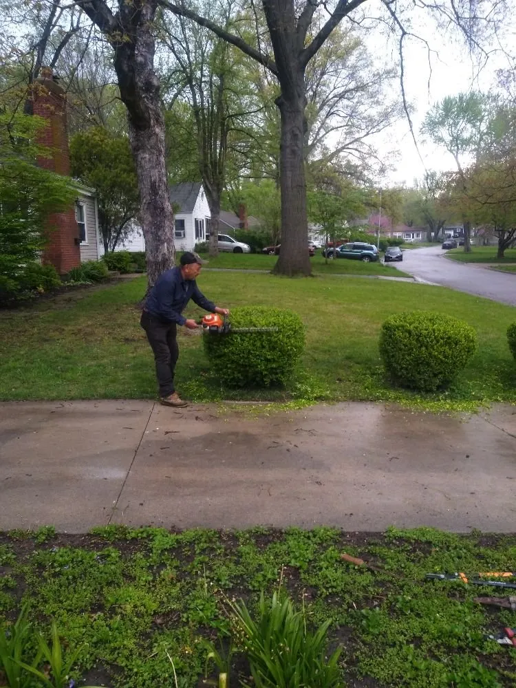 Trusted lawn care service experts serving Kansas City, KS - KM Turf Care