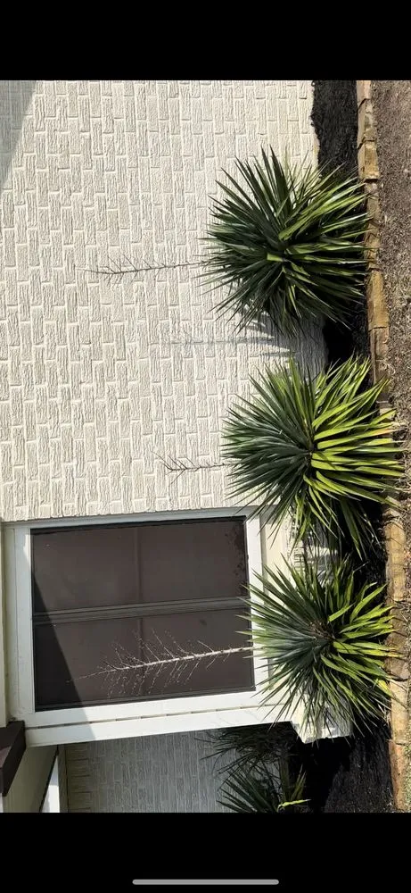 Affordable landscape installation experts serving New Braunfels, TX - Kmann Services