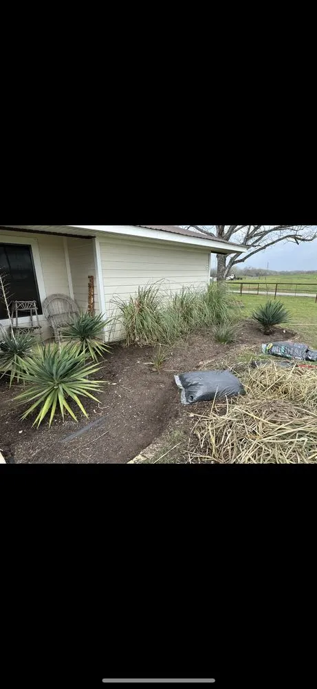 Affordable yard cleanup service in New Braunfels, TX - Kmann Services